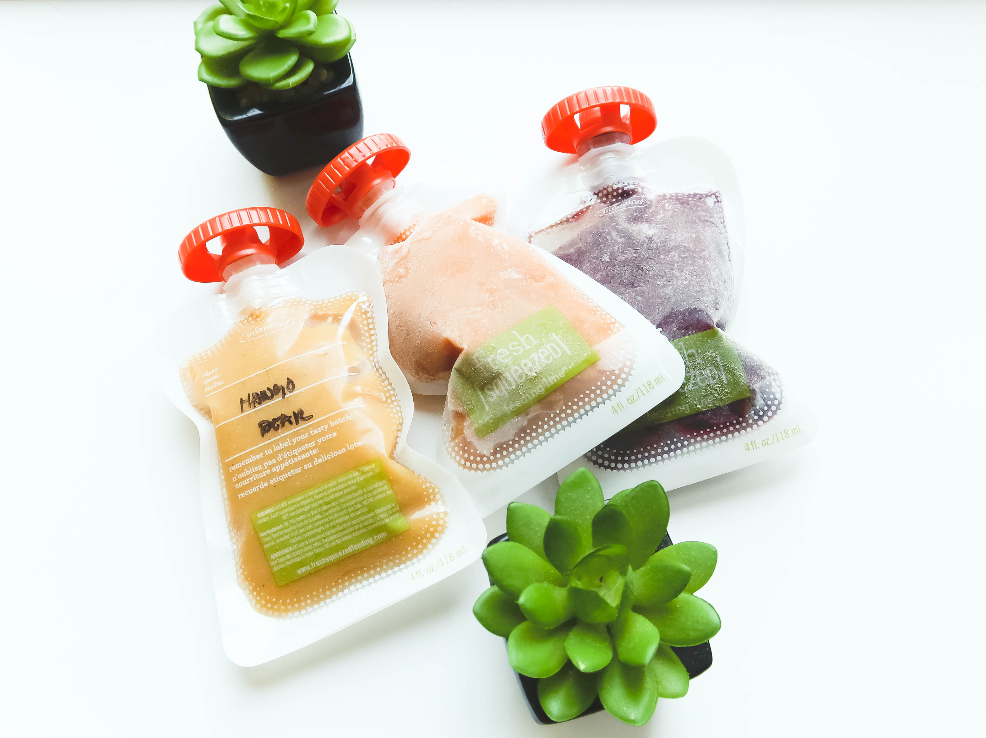 3 POUCH FOOD RECIPES Mama Bird and Tribe