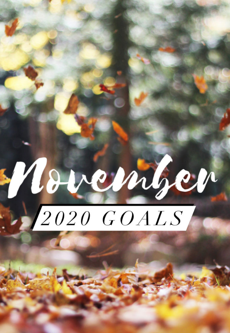 NOVEMBER 2020 GOALS