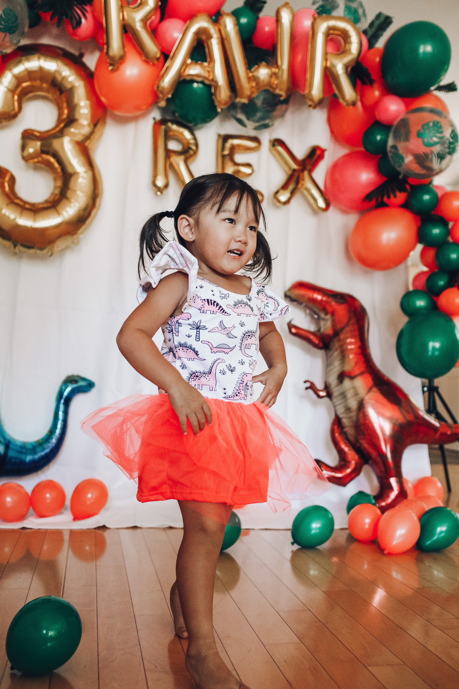 Dinosaur 2nd Birthday Party – Aly Dawn Photography